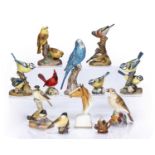Royal Worcester collection of porcelain models to include: horse, birds, budgie, red cardinal,