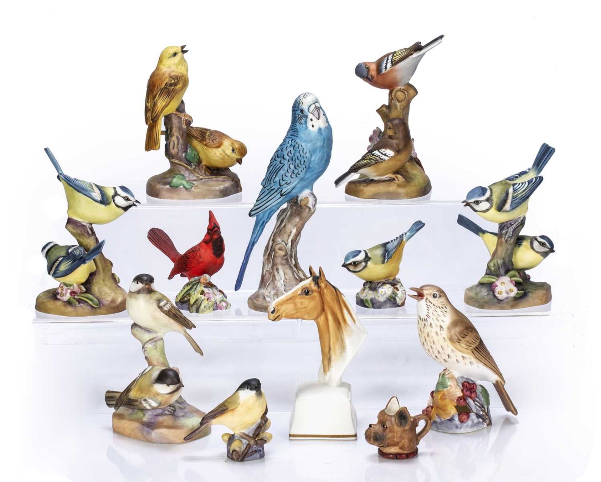 Royal Worcester collection of porcelain models to include: horse, birds, budgie, red cardinal,
