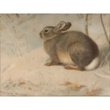 Archibald Thorburn (1860-1935) 'Rabbit in snow' print, unframed, 16cm x 22cm excluding the mount,