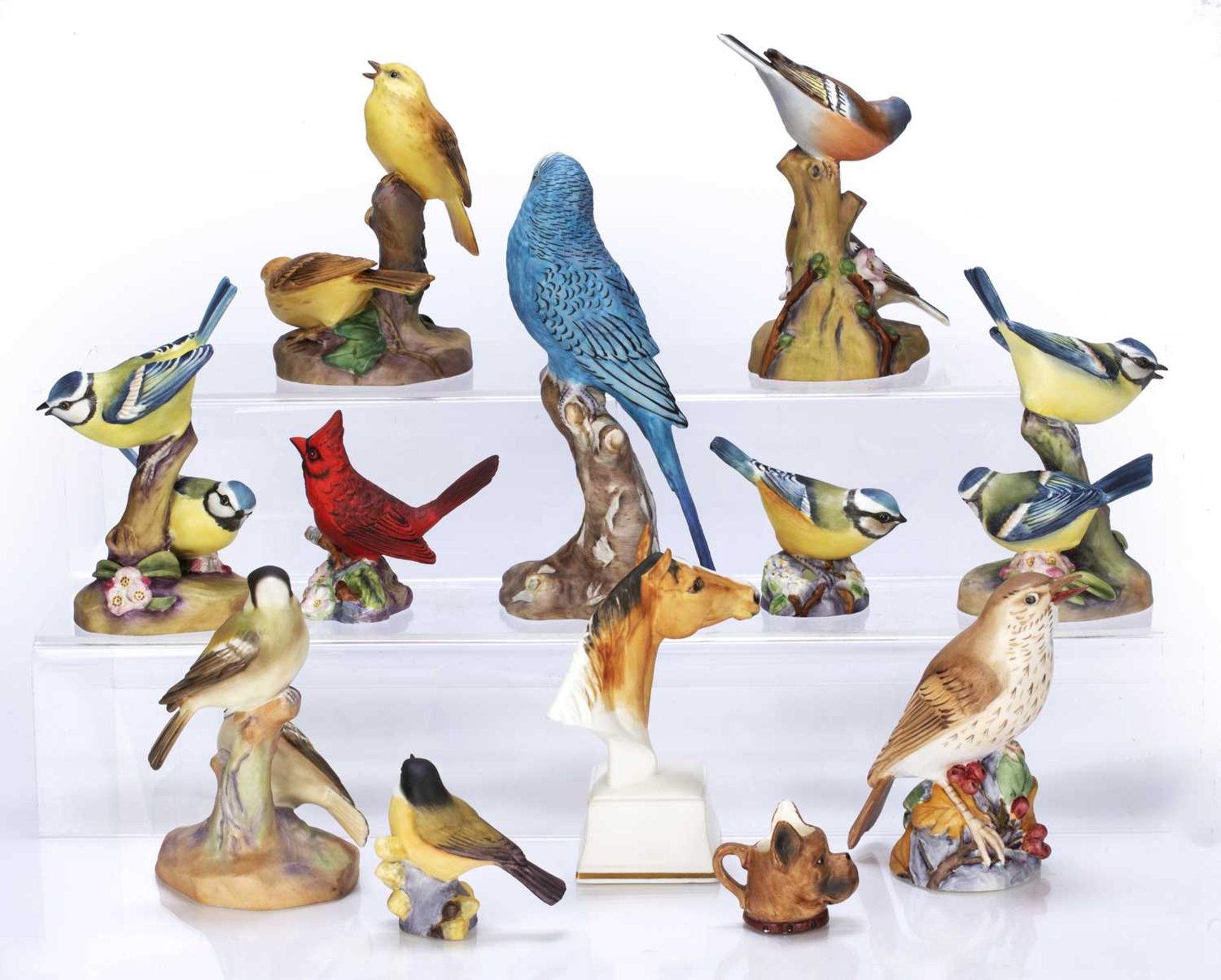 Royal Worcester collection of porcelain models to include: horse, birds, budgie, red cardinal, - Image 2 of 5