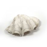 Large clam shell 42cm wideAt present, there is no condition report prepared for this lot, this in no