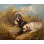 George Armfield (1808-1893), Terriers by a rabbit burrow, oil on canvas, signed lower left, with
