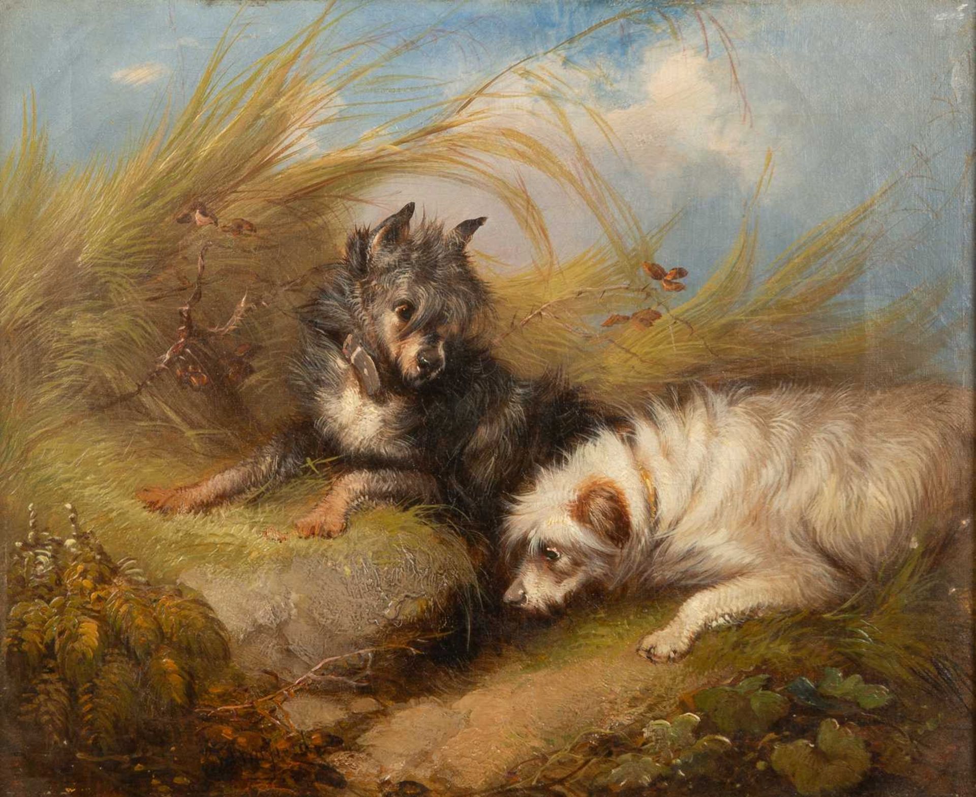 George Armfield (1808-1893), Terriers by a rabbit burrow, oil on canvas, signed lower left, with