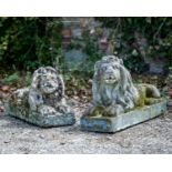 A pair of old cast reconstituted stone reclining lions, each with glass eyes, 72cm long x 23cm