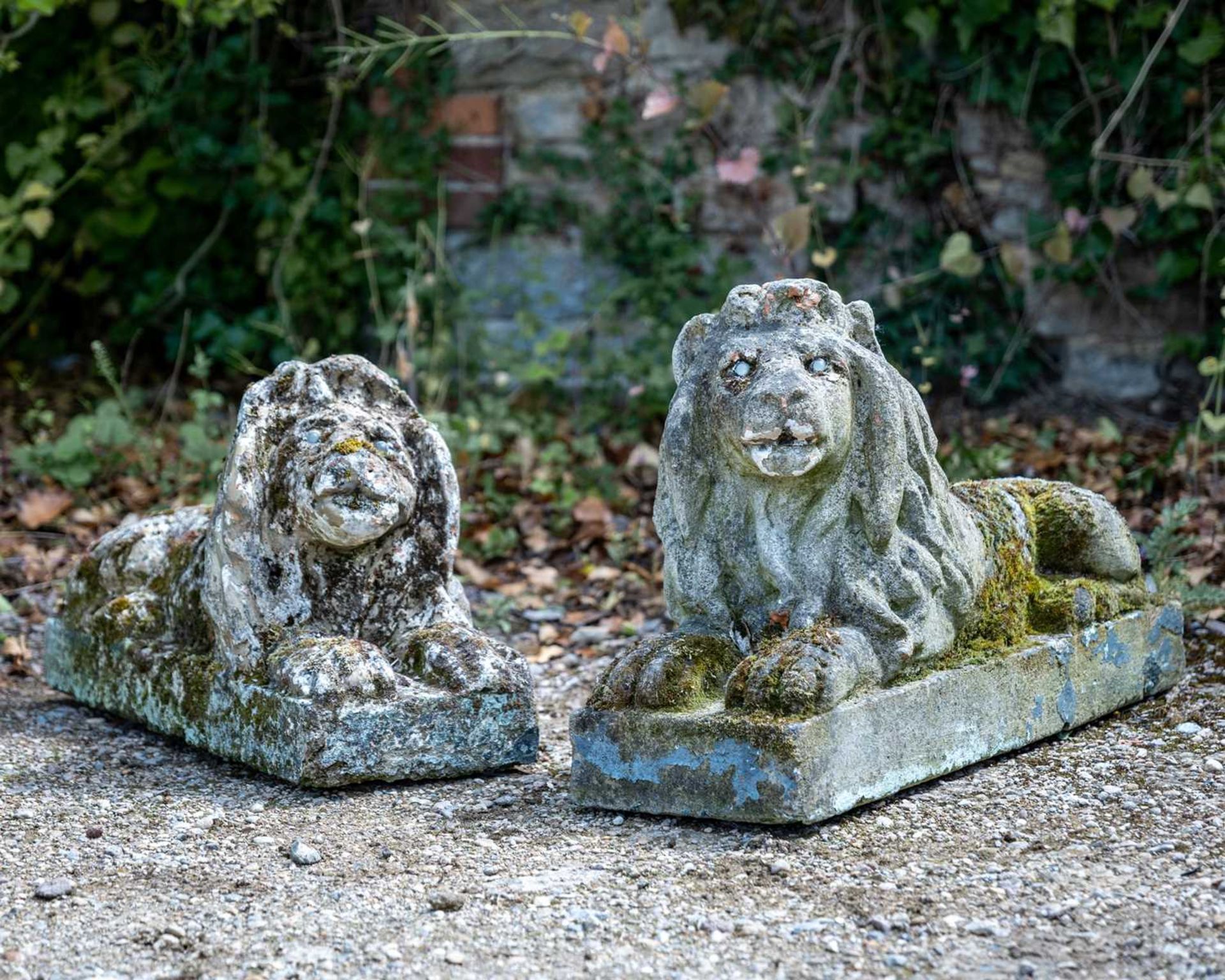 A pair of old cast reconstituted stone reclining lions, each with glass eyes, 72cm long x 23cm