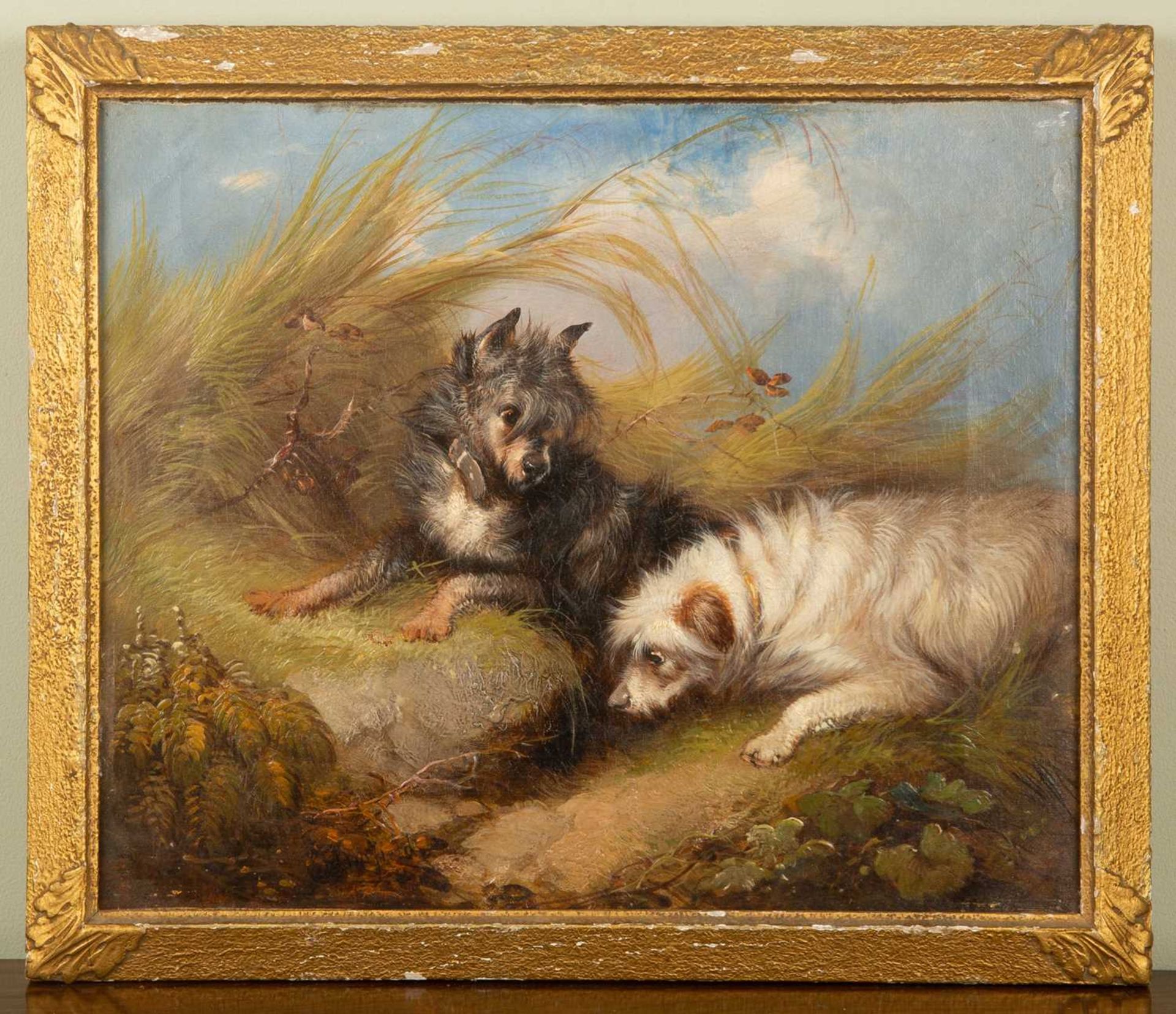 George Armfield (1808-1893), Terriers by a rabbit burrow, oil on canvas, signed lower left, with - Image 2 of 4