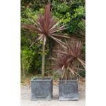 A pair of faux lead composite cubic planters with panelled sides planted out with small palm