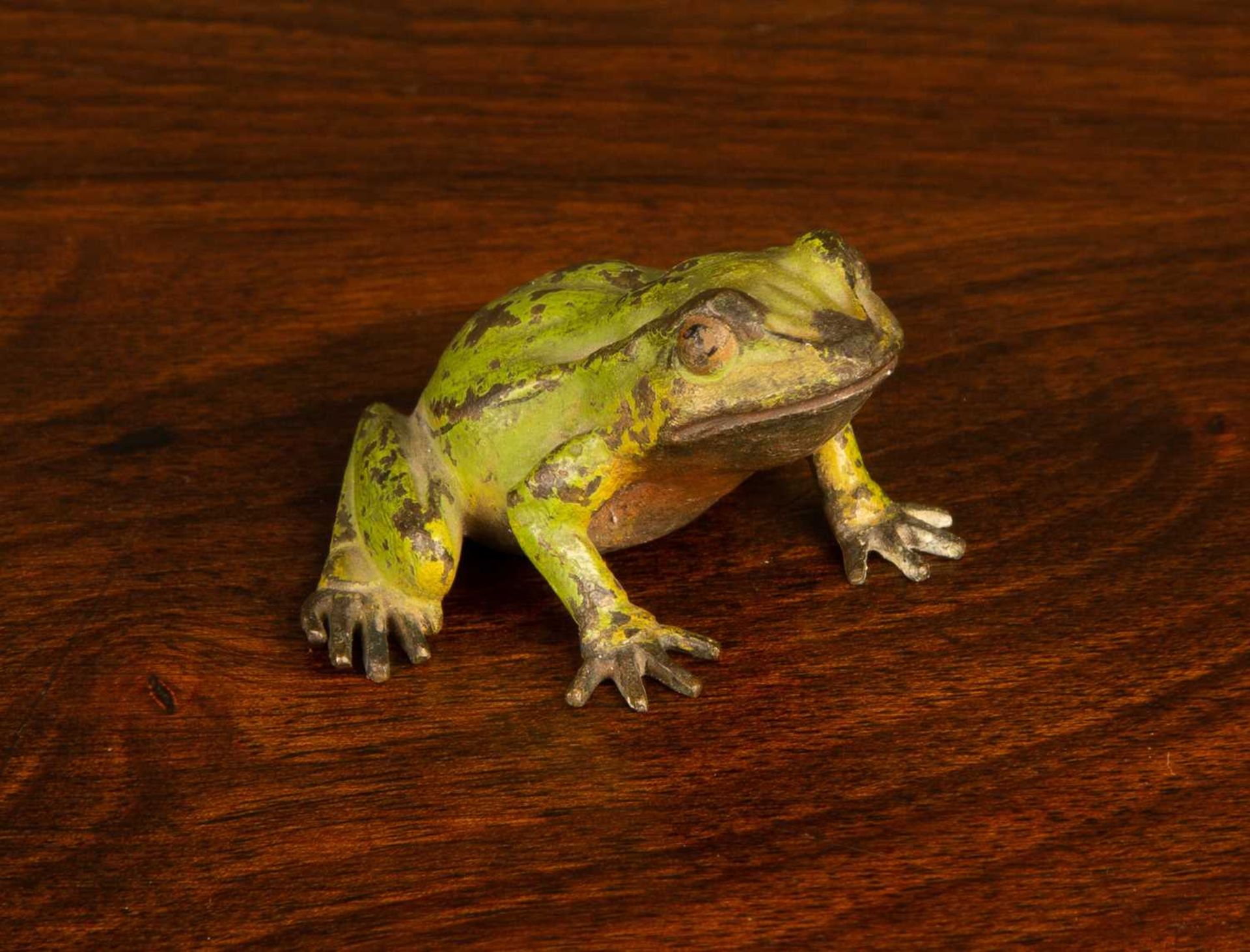 An antique Austrian cold painted bronze frog, 5cm wideLosses and wear to the paintwork overall,