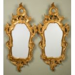 A pair of modern Venetian-style giltwood mirrors, with extensive scrolling frames, 40cm wide, 87cm