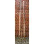 Four long bamboo poles, the largest approximately 5cm diameter, 410cm longQty: 4Weathered.