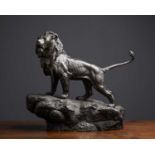 A resin statue of a lion on rock effect base, 37cm wide x 40cm highChip to tail, surface scratches.