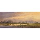 William H North (20th/21st century English school) 'The Goosey, Otmoor', watercolour, signed lower