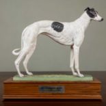 An Albany Fine China porcelain model of the greyhound "Westpark Mustard" modelled by Niel Campbell