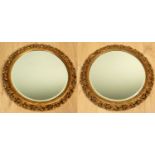 A pair of gilded circular wall mirrors with beveled glass, 64cm diameter (2)minor marks and losses