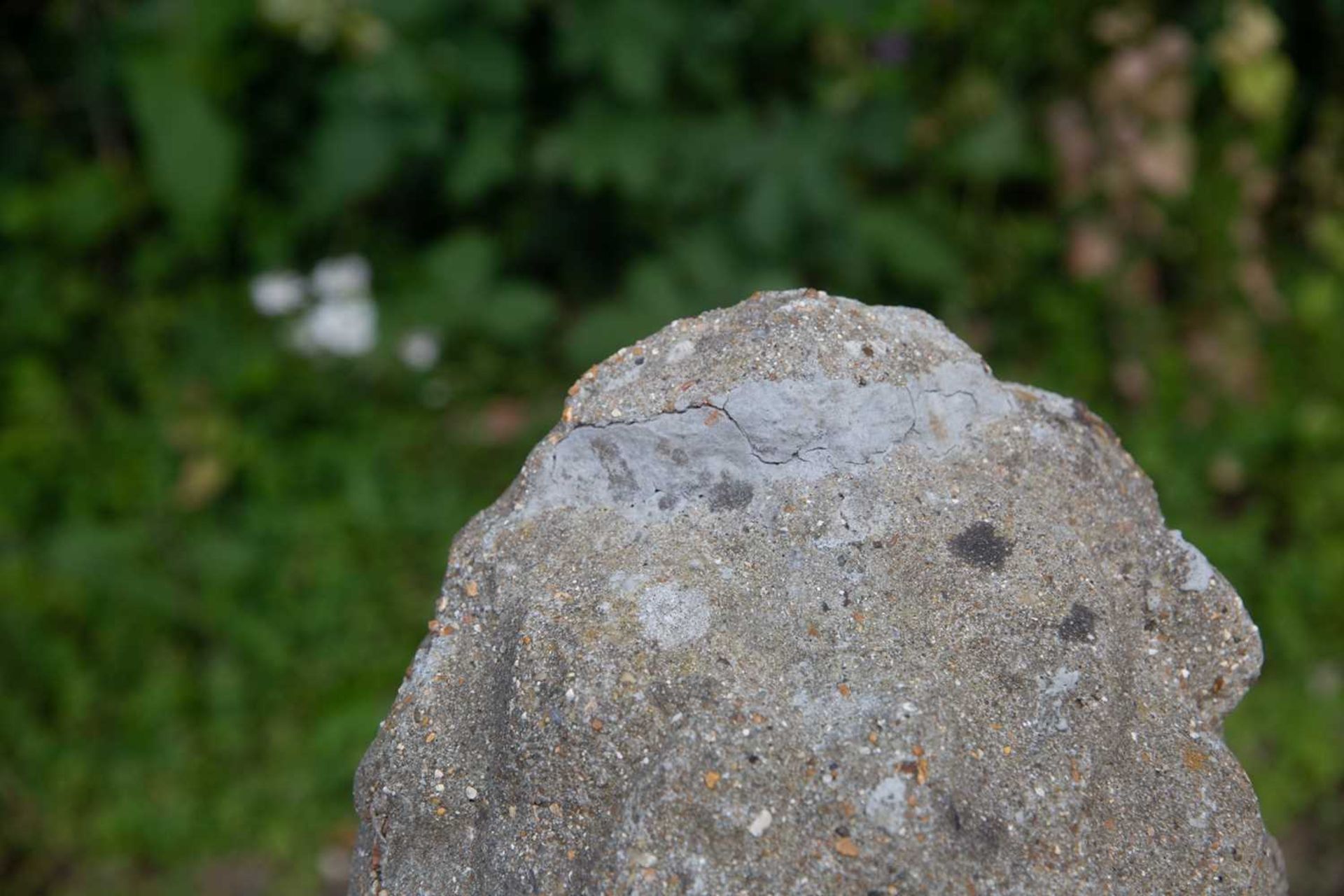 An old cast reconstituted stone lion supporting a shield, 28cm wide x 88cm highSome minor signs of - Image 4 of 4