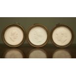 A group of three German circular plaster roundels of notable figures, set in brass frames and with