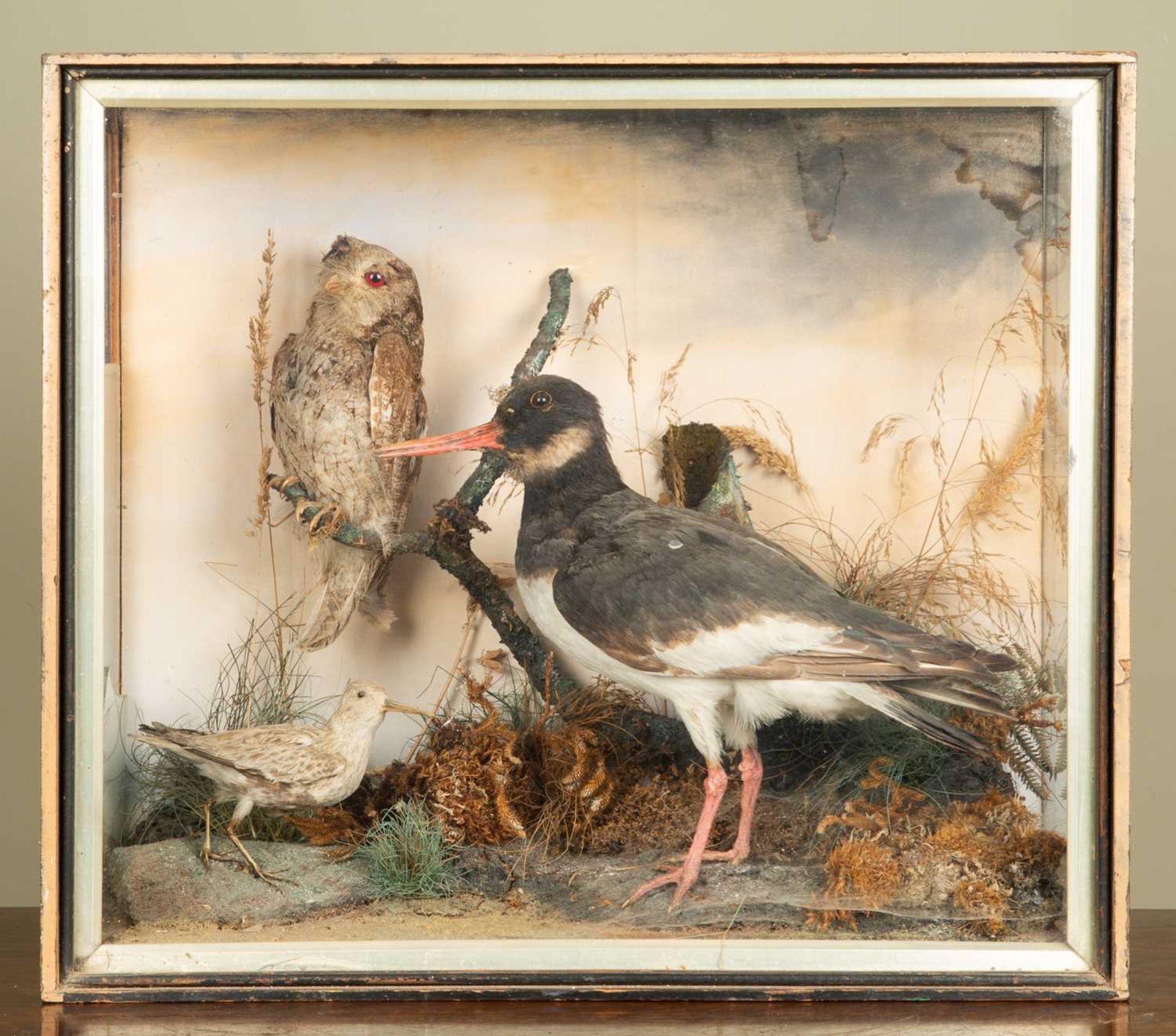 An antique cased taxidermy group of birds to include a drake, a duck, ducklings and a kingfisher, in - Image 2 of 5
