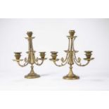 A pair of late 19th century gilt bronze three light candelabra, the central nozzles flanked by two