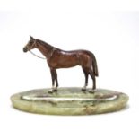 An early 20th century Austrian cold painted bronze coloured horse signed J.C.Sader to the underside,