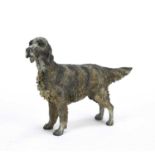 An Austrian cold painted bronze English Setter 19cm wide x 15cm highIn good condition, with some