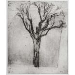 Naomi Frears (b.1963) Withen Tree printer's proof, signed and titled in pencil (in the margin)