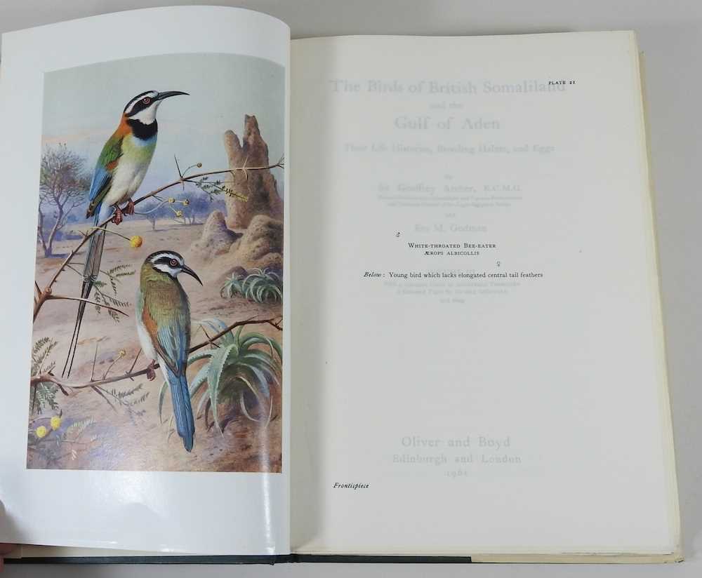 The Birds of British Somaliland and the Gulf of Aden - Image 13 of 23