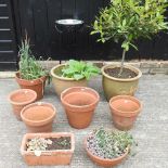 A collection of garden pots