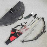 A Compound bow and arrow set