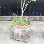 A terracotta garden planter