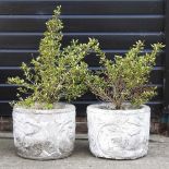 A pair of planters