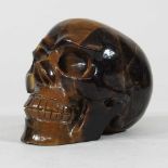 A tiger's eye skull