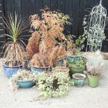 A collection of garden pots