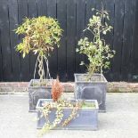 Three garden planters