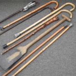 A collection of walking sticks
