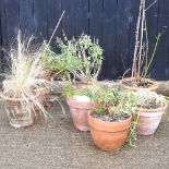 A collection of pots