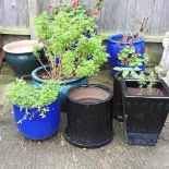 A collection of pots