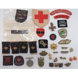 Small Selection of Military Cloth and Other Badges including brass, Polish Forces cap badge ...