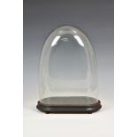 A Victorian blown glass dome on an ebonised base, overall 17in. (43cm.) high.