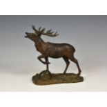 A bronze of a bellowing stagraised on naturalistic base, unmarked, overall length 8in. (20.3cm.).