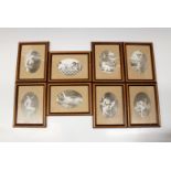 A set of eight framed prints of early 20th century erotic photographs.