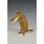 A taxidermy armadillo waiter modelled standing on its back legs, holding a scallop shell tray,