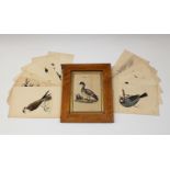 A small collection of 19th century or later bird bookplates hand coloured,