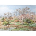 James Steuart (British, early 20th century), 'Spring on Putney Heath' watercolour, signed and