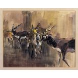 Matt Bruce (British, 1915-2000), Study of Antelopes Watercolour and body colour, signed "Matt B"