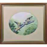 T. M. Robilliard (Guernsey, 20th century), Study of a pair of Chaffinches oval watercolour, signed