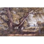 John Carlisle (British, fl.1866-1893), 'Near Cookham', Berkshire watercolour, heightened with white,