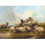 Thomas Sidney Cooper CVO, RA (British, 1803-1902), Sheep in a Pasture. oil on a mahogany Rowney