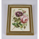 An early 19th century English painted porcelain plaque, featuring a floral bouquet of pink roses and