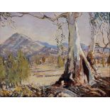 Australian, late 20th century, Mountainous Landscape in Australia. oil on canvas board, plain modern