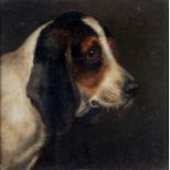 English School (second half 19th century), Portrait of a spaniel, Portrait of a beagle. oil on